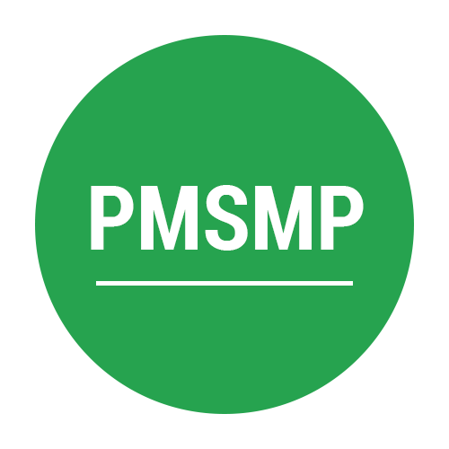PMSMP